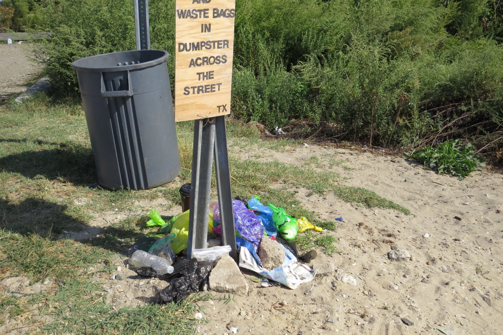 100816_urg_cdb_dogbeach (3).JPG